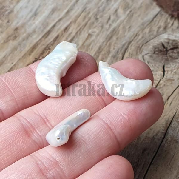 Perla n polovrtan 10x19mm msc 1ks