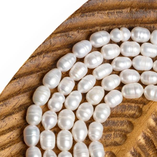 Perly ���n� kor�lky 6,5x8,5mm podlouhl� ���ra