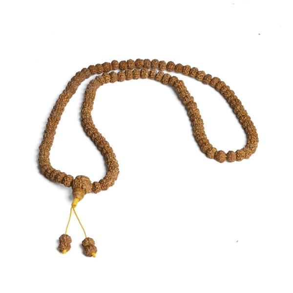 Rudraksha kor�lky cca 8-9mm ���ra