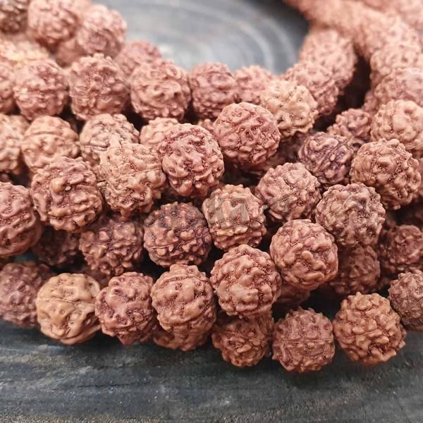 Rudraksha korlky cca 8-9mm ra