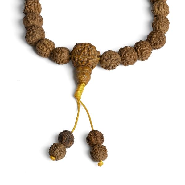 1476-rudraksha-koralky-9-10mm-snura-2