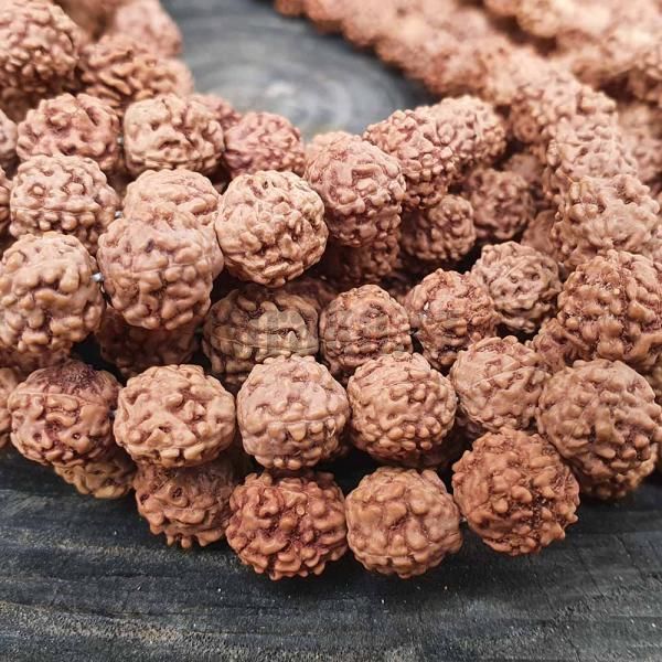 Rudraksha korlky cca 9-10mm ra