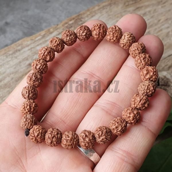 Rudraksha semnka 8-9mm nramek