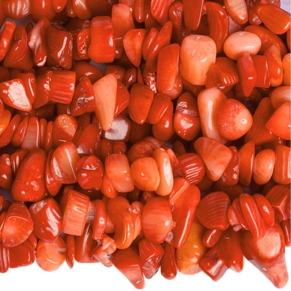 Koral �erven� kor�lky zlomky ���ra