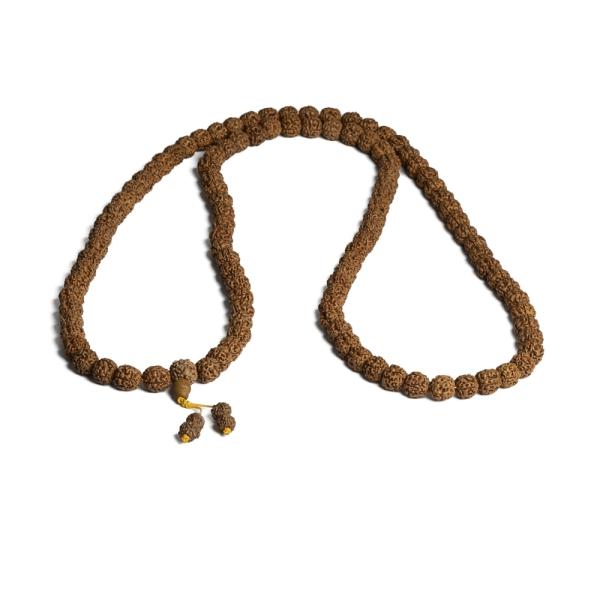 Rudraksha kor�lky 11-12mm ���ra