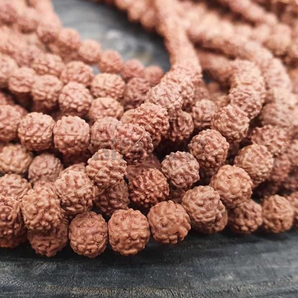 Rudraksha korlky 6-7mm ra