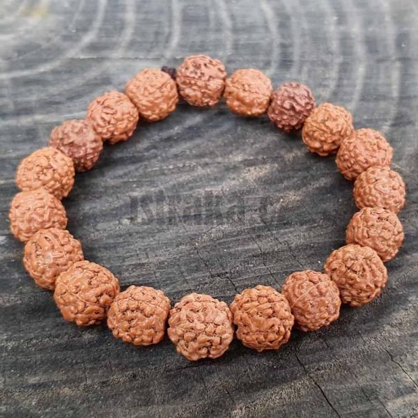 Rudraksha semnka 10,5-11mm nramek